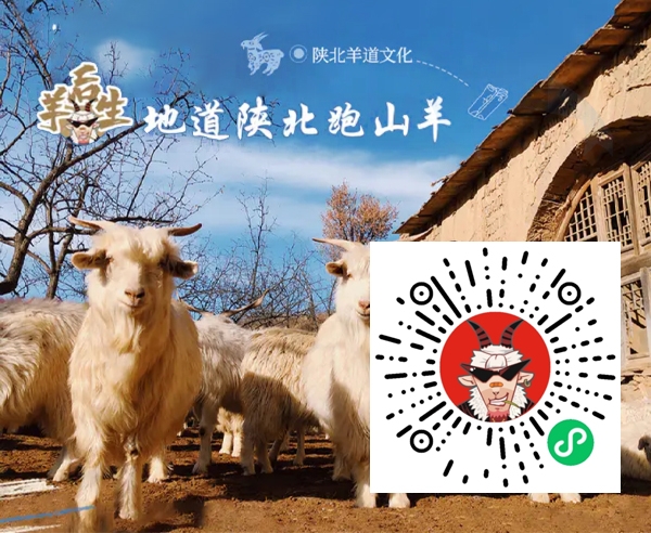 羊後生